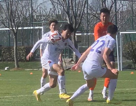 河北凌波赛鸽公棚春棚
